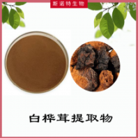 白樺茸提取物 白樺茸濃縮粉 扶風斯諾特 源頭廠家