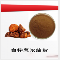 白樺茸濃縮粉 白樺茸提取物 源頭廠家 現(xiàn)貨供應 扶風斯諾特
