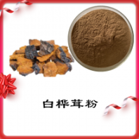 白樺茸粉 白樺茸提取物 源頭廠家 現(xiàn)貨供應(yīng) 扶風(fēng)斯諾特