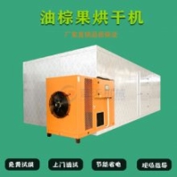 棕櫚果烘干機(jī) 棕櫚果干燥機(jī) 敗棕子烘干房 棕樹果烘烤爐 藍(lán)天