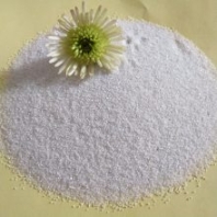 天隆膨潤土貓砂 龍貓倉鼠小寵物浴沙 袋裝白色細沙子