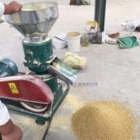 養(yǎng)殖業(yè)電動(dòng)飼料顆粒機(jī) 加工燃燒顆粒機(jī) 皮帶式貓砂顆粒機(jī)