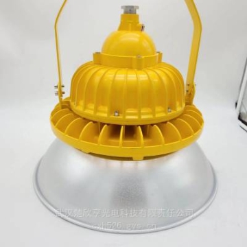 森本 防爆燈LED200W GF8810吊桿安裝 含吸盤 0.3m直桿 GF8820側(cè)壁安裝