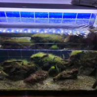 魚缸水質(zhì)檢測(cè)機(jī)構(gòu) 溶氧量測(cè)定中心檢測(cè)項(xiàng)目