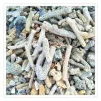 海濱供應(yīng)珊瑚砂 魚缸鋪地用珊瑚砂 玻璃砂 瑪瑙石 珊瑚砂水族凈化